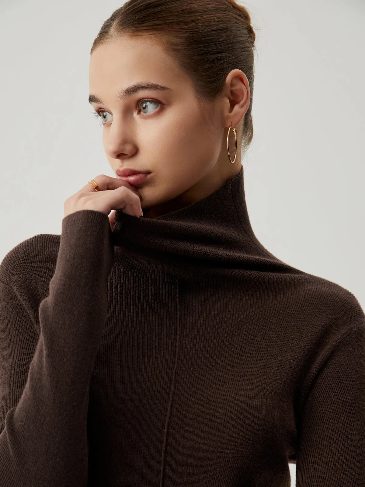 Solid Turtleneck Long Trendy Sleeve Knit Top